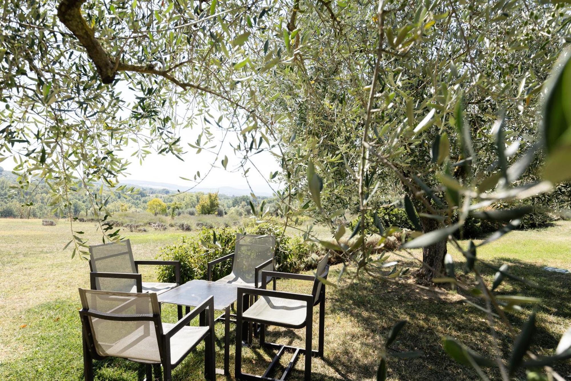 Tenuta Ponziani Wine Resort&Spa Morrano Zewnętrze zdjęcie
