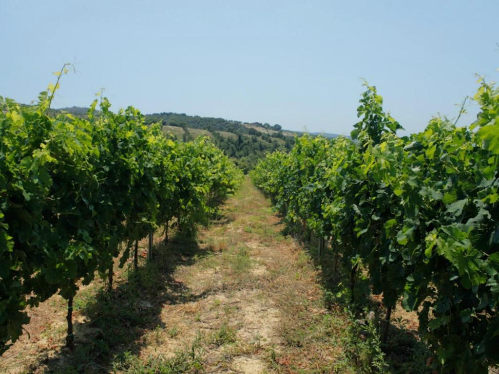 Tenuta Ponziani Wine Resort&Spa Morrano Zewnętrze zdjęcie